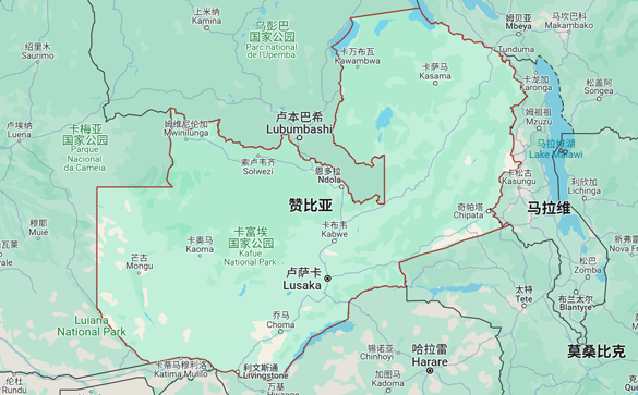 赞比亚进口数据